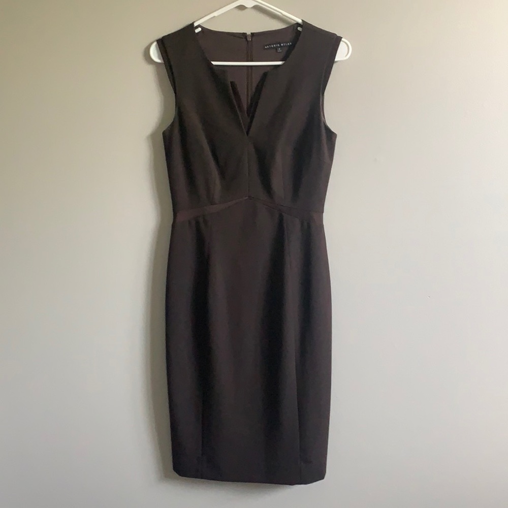 Antonio Melani Inset Detail Sheath Dress, Sz 2